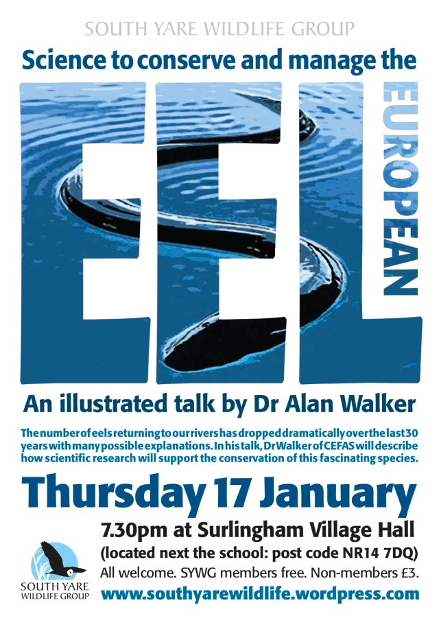 Eel talk Jan 2013