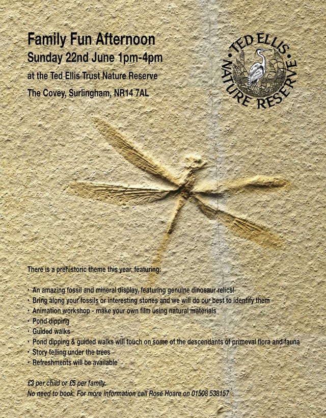 Family Fun Day at Wheatfen Poster