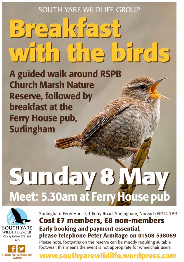 Breakfast with the birds 2016