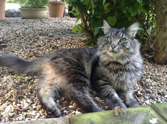 18836052_1220143664781828_5629401760482719696_n