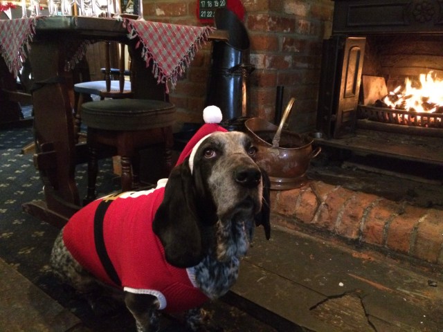 3183A0DD-6FCF-4465-BB7D-0EDFD0DD4D90