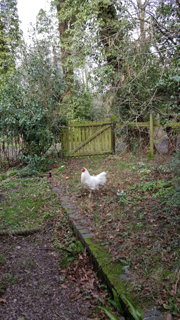image1
